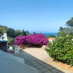 Residenza Le Bouganville * Carloforte (Isola di San Pietro)