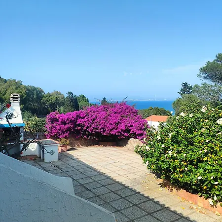 Residenza Le Bouganville * Carloforte (Isola di San Pietro)