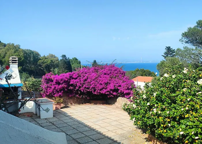 Residenza Le Bouganville * كارلوفورتي